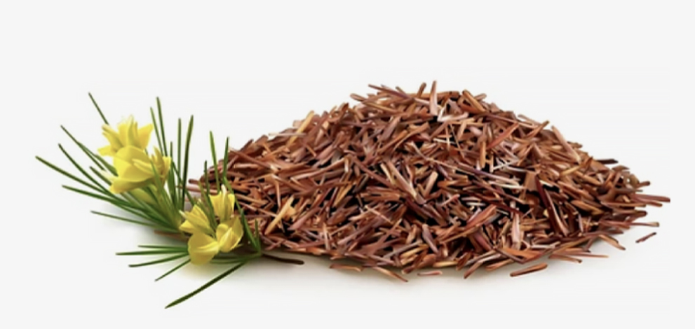 INOVATIVNA MJEŠAVINA NA BAZI BILJKE ROOIBOS